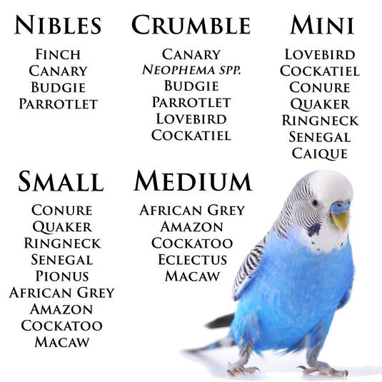 Roudybush Daily Maintenance Bird Food Crumble Pellets