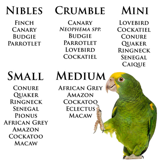 Roudybush Daily Maintenance Bird Food Medium Pellets