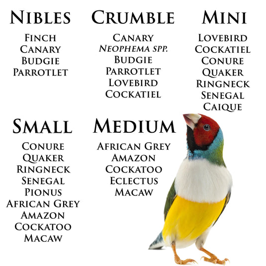 Roudybush Daily Maintenance Bird Food Nibles Pellets