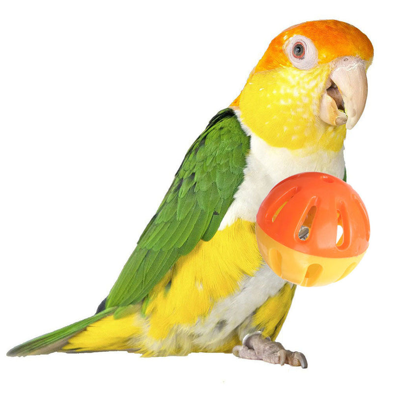 Birdie Ball with Bell - Bird/Small Pet Foot Toy