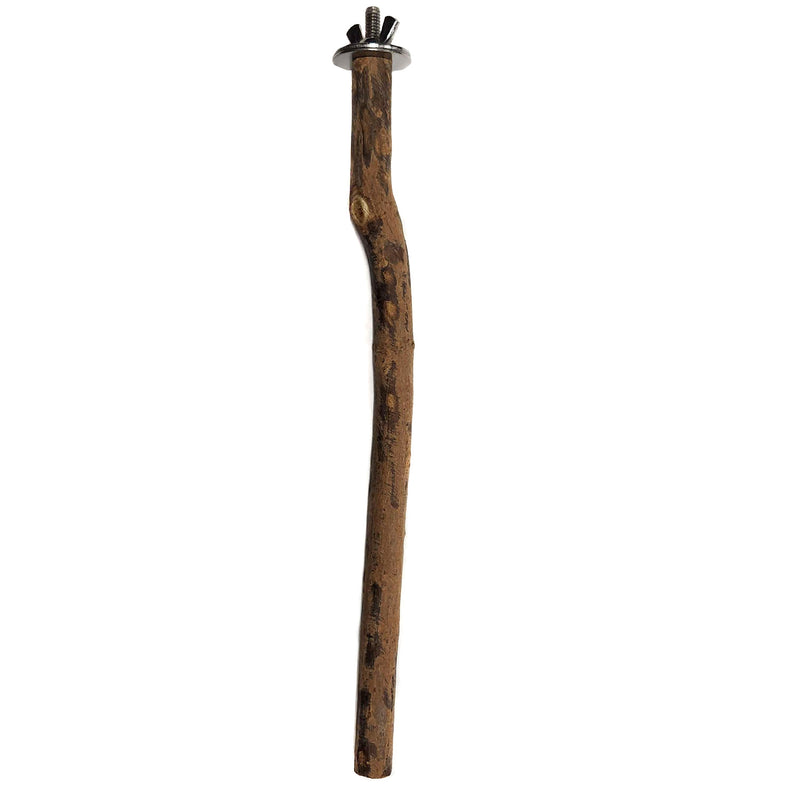 Assorted Natural Bird Hard Wood Perches - Single Branch