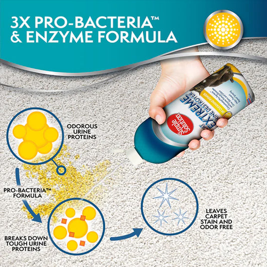 Extreme Urine Destroyer for Cats - 32 fl. oz.