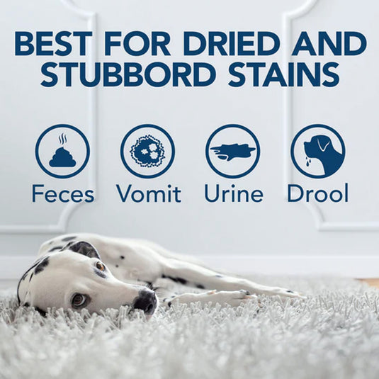 Oxy Charged Stain & Odour Remover for Dogs - 32 fl. oz.