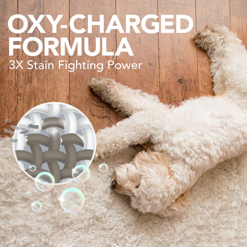 Load image into Gallery viewer, Oxy Charged Stain &amp; Odour Remover for Dogs - 32 fl. oz.
