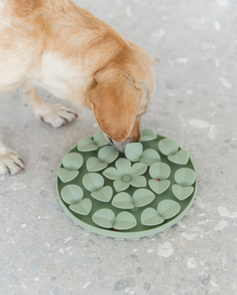 Hide & Seek Silicone Snuffle Dog or Cat Mat
