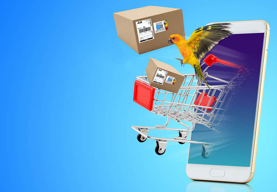 Shipping & Product
