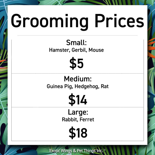 Small Pet Grooming Appointments