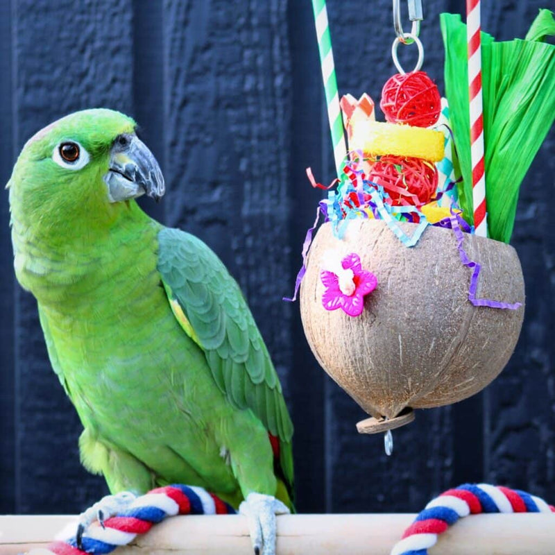 HARI Smart Play Enrichment Parrot Toy Colada - 81015
