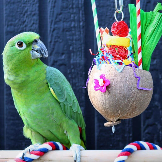 HARI Smart Play Enrichment Parrot Toy Colada - 81015