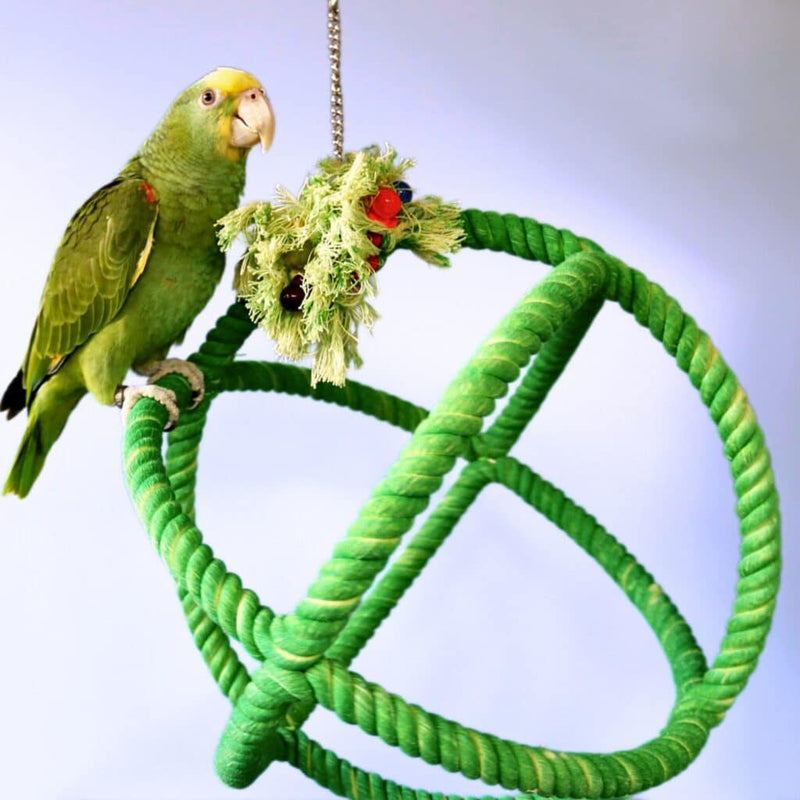 HARI Smart Play Rope Orbiter Perch n' Swing

