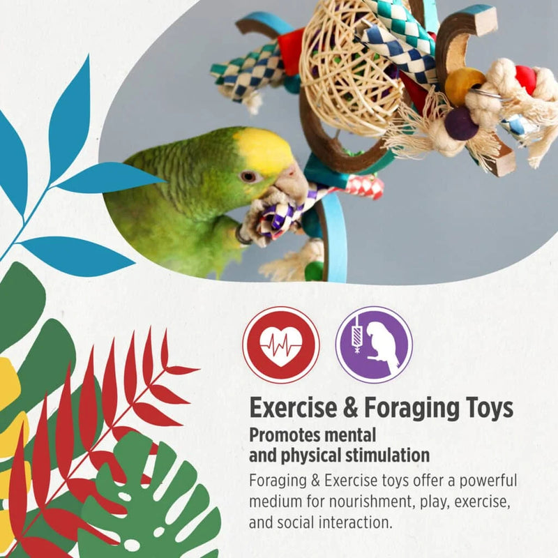 HARI Smart Play Enrichment Parrot Toy Coconut Merry-Go-Round - 81004
