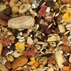 Enrichment Foods for Parrots, Parakeets, and Other Birds