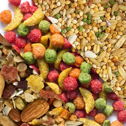 Bird Nutrition - Pellet, Seed, Eggfood, Vitamins, etc.