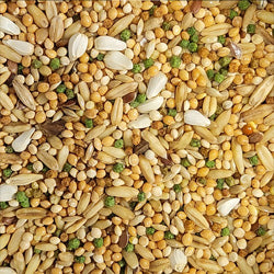 Seeds for Parrots, Parakeets, and Other Birds
