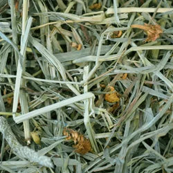 Small Animal Blended Hay