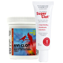 First Aid for Bleeding Bird: Essential Steps to Save Its Life