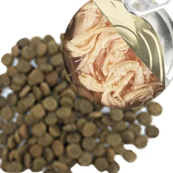 Cat Food