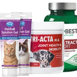 Cat Health & Wellness