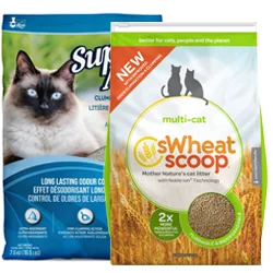 Cat Litter