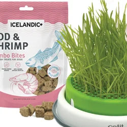 Cat Treats