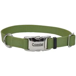 Dog Collars