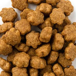 Crunchy Cat Treats