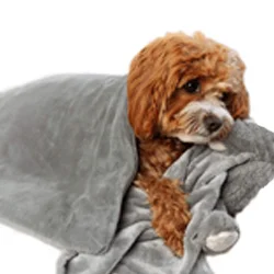 Dog Blankets