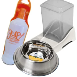 Dog Bowls & Feeders