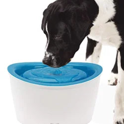 Drinking Fountains for Dogs