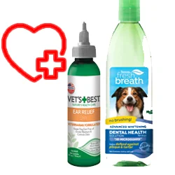 Dog Health & Wellness