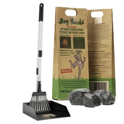 Dog Outdoor Maintenance