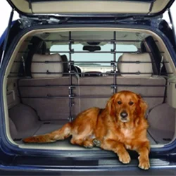 Dog Vehicle Accessories