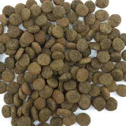 Dry Cat Food
