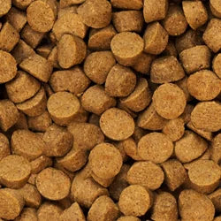 Dry Dog Food