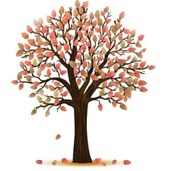 Wild Bird Food - Fall