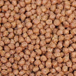 Aquarium Fish Pellets