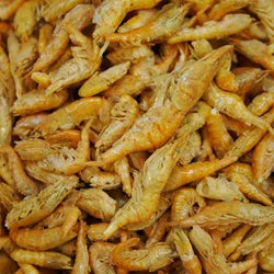 Freeze Dried Food for Aquarium Fish