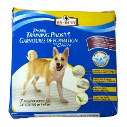 Potty Training for Dogs