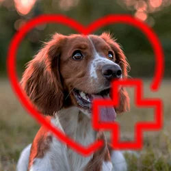 Preventative Dog Treats