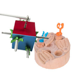 Puzzle-style Toys for Parrots & Parakeets