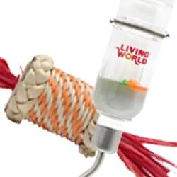 Small Animal Accessories