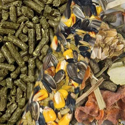 Small Animal Food