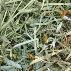 Small Animal Hay and Grass