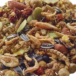 High Protein Treats and Toppers for Small Animals
