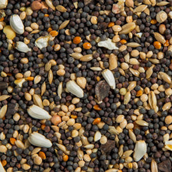 Soak and Sprout Seed Mixes