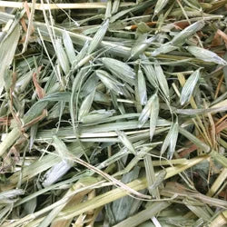 Small Animal Specialty Hay