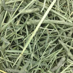 Small Animal Timothy Hay