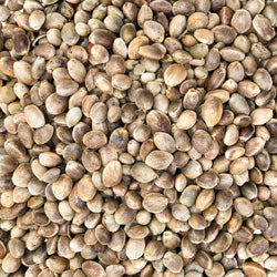 Whole Seed and Grains for Adding to Seed Blends!