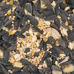 Wild Bird Seed