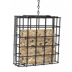 Suet Feeders